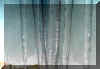 icicles_2_window_viewsFINAL.jpg (77020 bytes)
