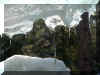 icicles_one_drop_centered_F.jpg (110686 bytes)
