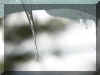 icicles_one_drop_smal_FINAL.jpg (45039 bytes)