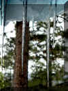 icicles_trio_FINAL_trio.jpg (118374 bytes)