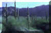 browns_canyon.jpg (70792 bytes)