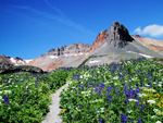 ice lake trail